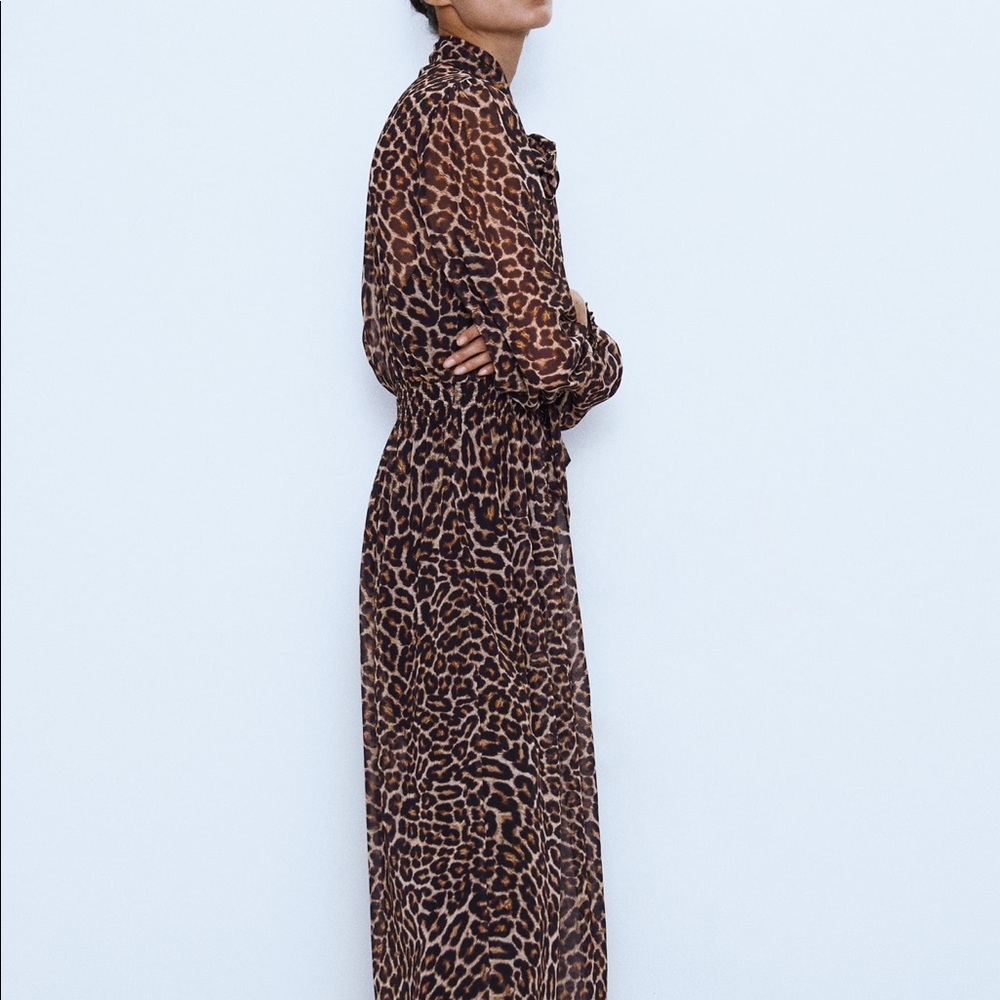 Zara animal print dress - Picture 4 of 9